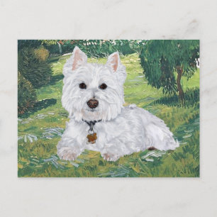 Westie ansichtkaart briefkaart