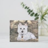 Westie-ansichtkaart Briefkaart (Staand voorkant)
