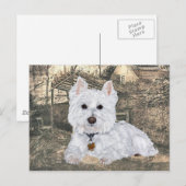 Westie-ansichtkaart Briefkaart (Voorkant / Achterkant)