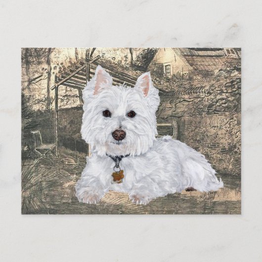 Westie-ansichtkaart Briefkaart (Voorkant)