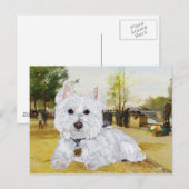Westie-ansichtkaart Briefkaart (Voorkant / Achterkant)