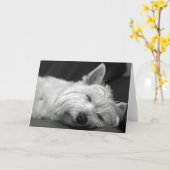 Westie Asleep Kaart (Gele Bloem)