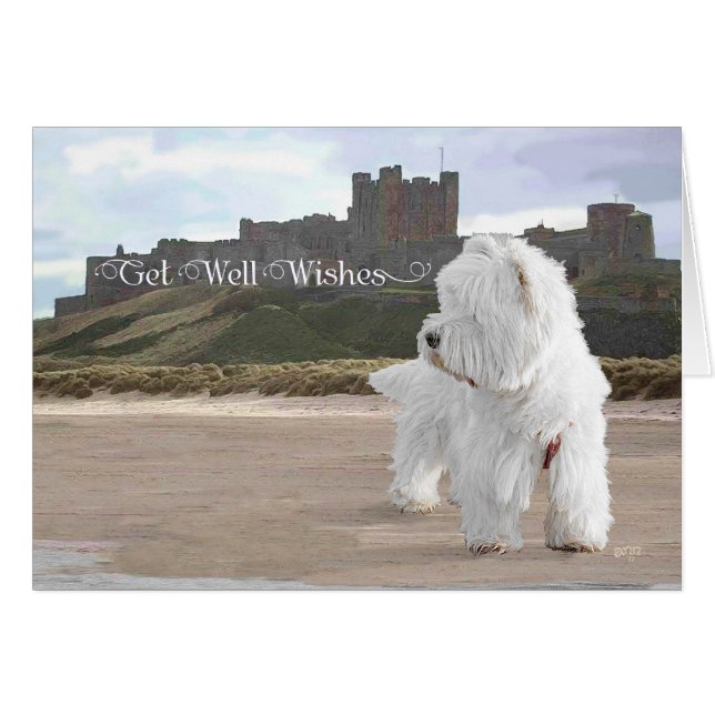 Westie bij Bamburgh Castle (Voorkant Horizontaal)