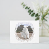Westie bij Bamburgh Castle Briefkaart (Staand voorkant)