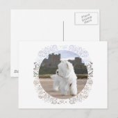 Westie bij Bamburgh Castle Briefkaart (Voorkant / Achterkant)