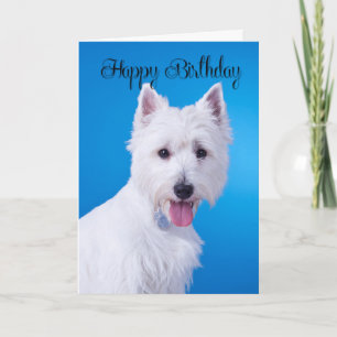 Westie Birthday-kaart Kaart