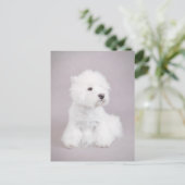 Westie Briefkaart (Staand voorkant)