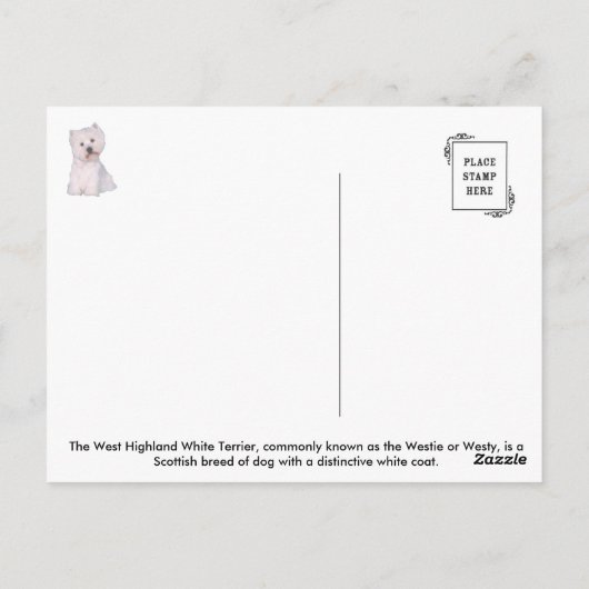 Westie-briefkaart Briefkaart (Achterkant)