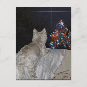 WESTIE CHRISTMAS AWE FEESTDAGENKAART