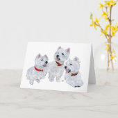 Westie-conferentie Kaart (Gele Bloem)