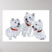 Westie-conferentie Poster (Voorkant)