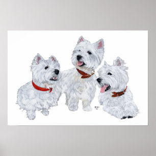 Westie-conferentie Poster