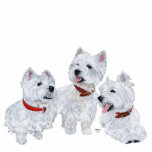 Westie-conferentie Staand Fotobeeldje<br><div class="desc">Drie Witte Terriers van West Highland,  die de scène controleren en beslissen wat te doen daarna. . . Je weet dat er veel leuke dingen zijn die Three Westies in de uitgestrekte wereld kan vinden! Fun Westies over kleding,  huishoudartikelen en cadeautjes voor jezelf of die speciale Westie-maatje van jou!</div>