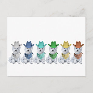 Westie Cowboys Allemaal op een Rij Briefkaart
