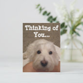 Westie denken aan You Photo Briefkaart (Staand voorkant)