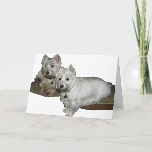 Westie Desi and Lucy Kaart (Voorkant)