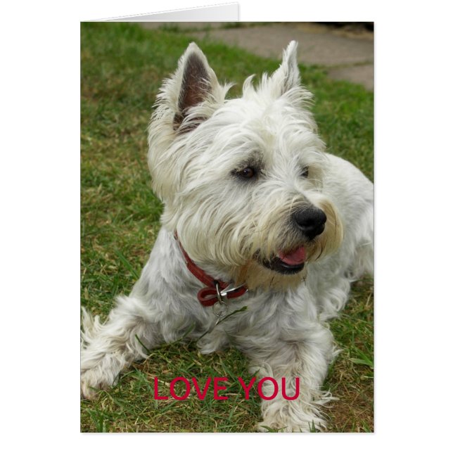 Westie Dog Card (Voorkant)