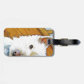 Westie Dog Face, naar jou kijken Bagagelabel (Achterkant horizontaal)