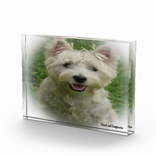 Westie Dog. Fotoblokken (Rechts)