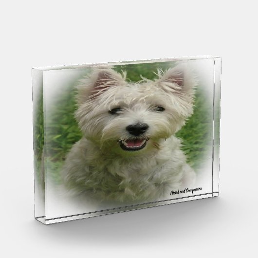 Westie Dog. Fotoblokken (Links)