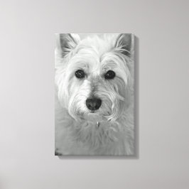 Westie Dog (West Highland White Terrier) Canvas