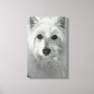 Westie Dog (West Highland White Terrier) Canvas