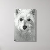 Westie Dog (West Highland White Terrier) Canvas Afdruk (Voorkant)