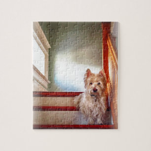 Westie Dog zit op de Stairs,  kijk Legpuzzel