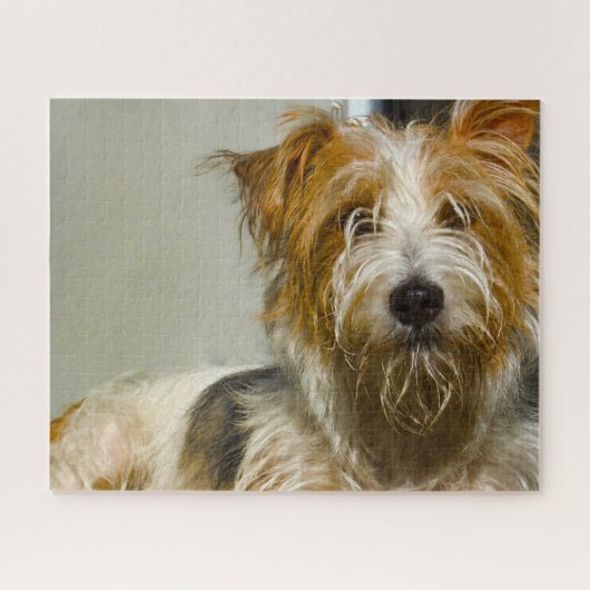 Westie Dogs Jigsaws. Legpuzzel (Horizontaal)