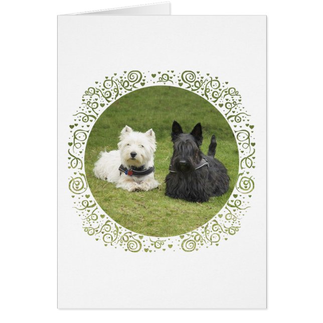 Westie en Scottie Green Grass (Voorkant)