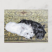 Westie en Scottie in Ease Briefkaart (Voorkant)