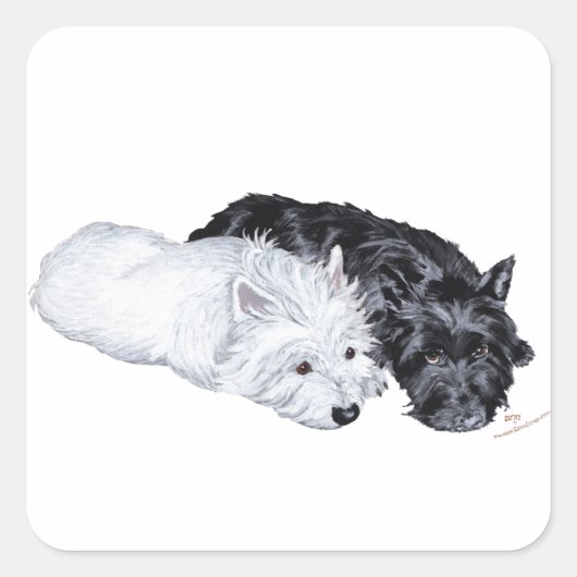 Westie en Scottie in Ease Vierkante Sticker (Voorkant)