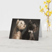 Westie en Scottie Kaart (Gele Bloem)
