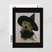Westie - Gezwoegde heks van de westerlingen Briefkaart (Voorkant / Achterkant)