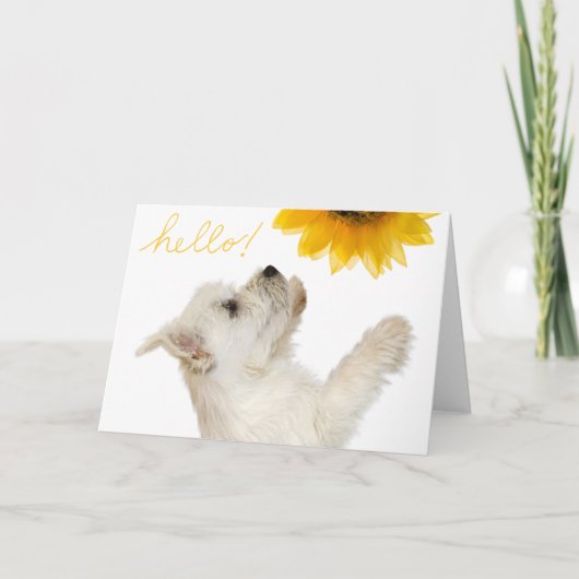Westie Hallo Blank Notecard Kaart (Voorkant)