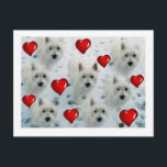 Westie hearts postcard thankyou, birthday, hello e briefkaart<br><div class="desc">Great westie postcard to send a note on thankyou etc.</div>