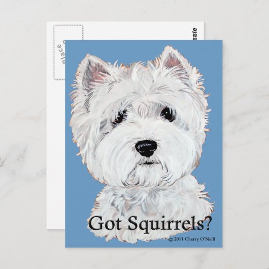 Westie heeft eekhoorns? briefkaart (Voorkant / Achterkant)