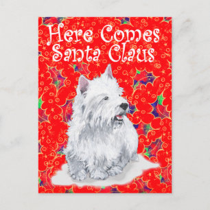Westie Hier Komt Kerstman Feestdagenkaart
