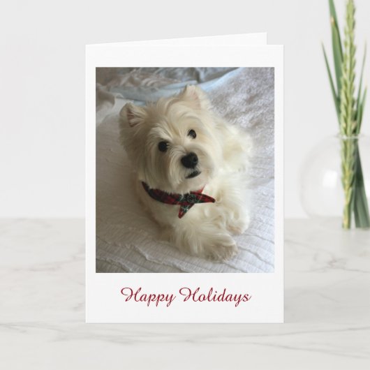 Westie Holiday Feestdagen Kaart (Voorkant)