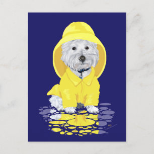 Westie-hond aprilbuien briefkaart