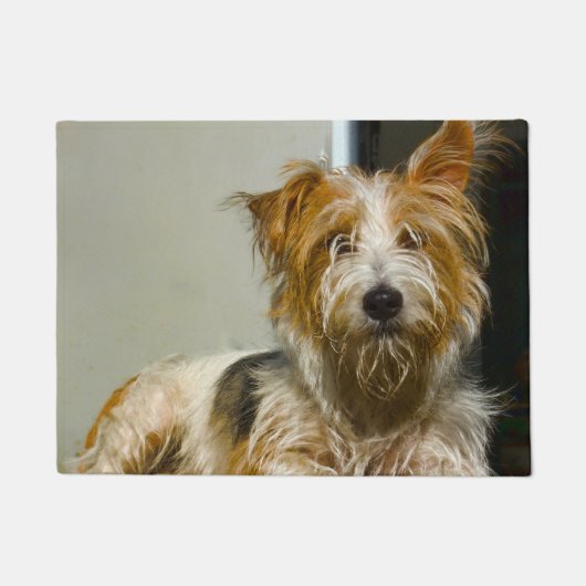 Westie hond. deurmat (Voorkant)