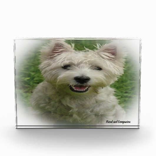 Westie hond. fotoblokken (Voorkant)
