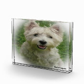 Westie hond. fotoblokken (Rechts)