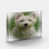 Westie hond. fotoblokken (Links)