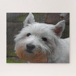 Westie Honden Puzzels. Legpuzzel