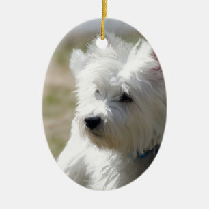 Westie in de lente keramisch ornament