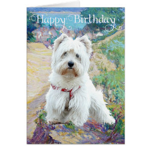 Westie in de Seashore