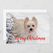 Westie in de Sneeuw Kerstkaart (Voorkant / Achterkant)