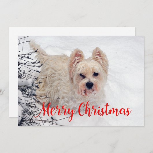 Westie in de Sneeuw Kerstkaart (Voorkant / Achterkant)