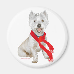Westie in de winter met een rode sjaal magneet